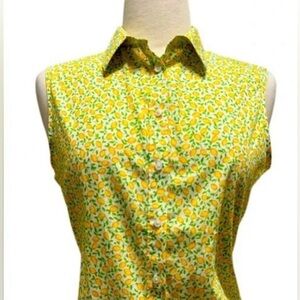 LANDS’ END no iron supima